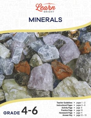 This is the title page for the Minerals lesson plan. The main image is a photo of a bunch of different kinds of minerals. The orange Learn Bright logo is at the top of the page.