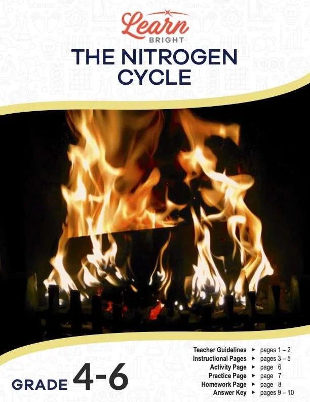 This is the title page for the Nitrogen Cycle lesson plan. The main image is of burning logs. The orange Learn Bright logo is at the top of the page.