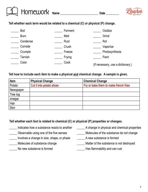 This is the homework worksheet for the Physical and Chemical Changes lesson plan. The orange Learn Bright logo is in the upper right corner of the page.
