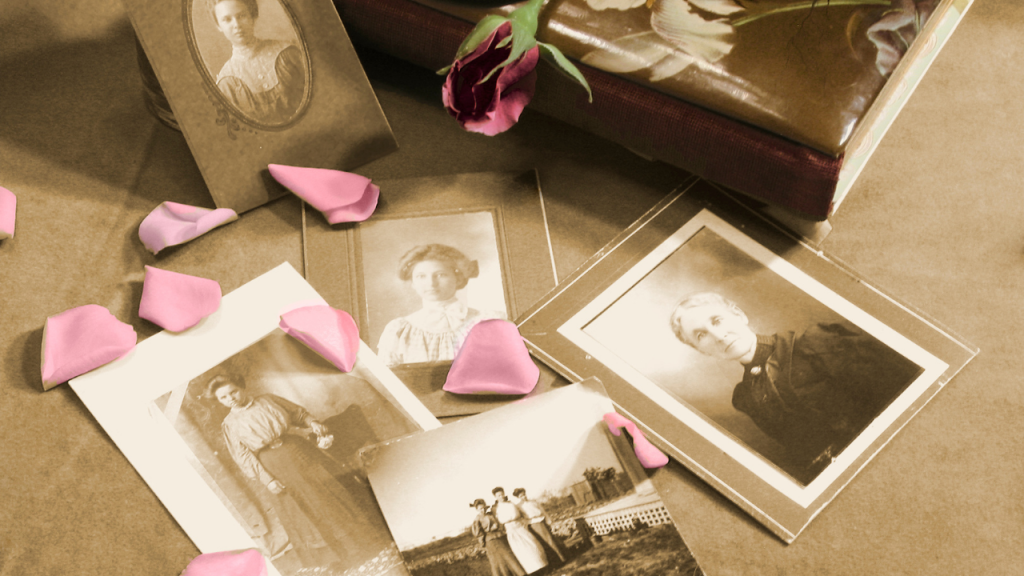 historical picture prints with rose petals on top signifying the history of valentines day