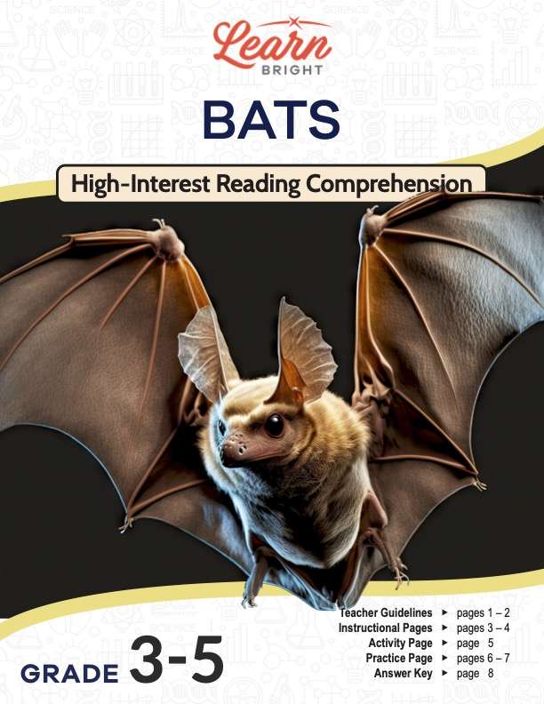 This is the title page for the Bats lesson plan. The main image is of a bat in mid-flight. The orange Learn Bright logo is at the top of the page.