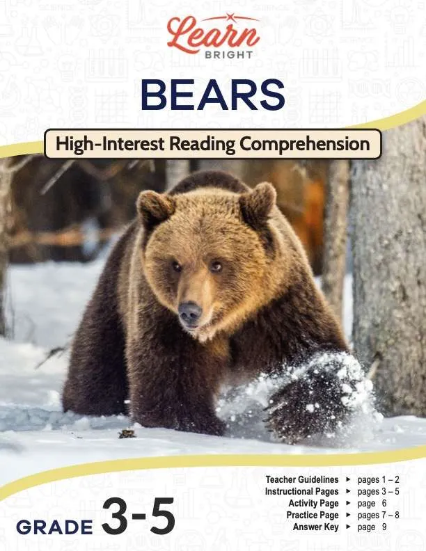This is the title page for the Bears lesson plan. The main image is of a brown bear in a snowy forest. The orange Learn Bright logo is at the top of the page.