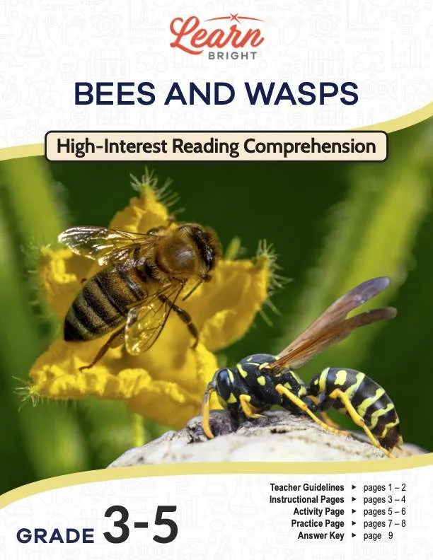 This is the title page for the Bees and Wasps lesson plan. The main image is of a bee and a wasp on a flower. The orange Learn Bright logo is at the top of the page.