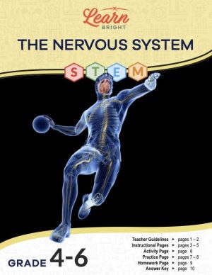 This is the title page for the Nervous System STEM lesson plan. The main image is a digital rendering of a human body in motion. The orange Learn Bright logo is at the top of the page.