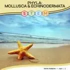 This is the title page for the Phyla Mollusca and Echinodermata STEM lesson plan. The main image is of a starfish on the beach with the ocean in the background. The orange Learn Bright logo is at the top of the page.