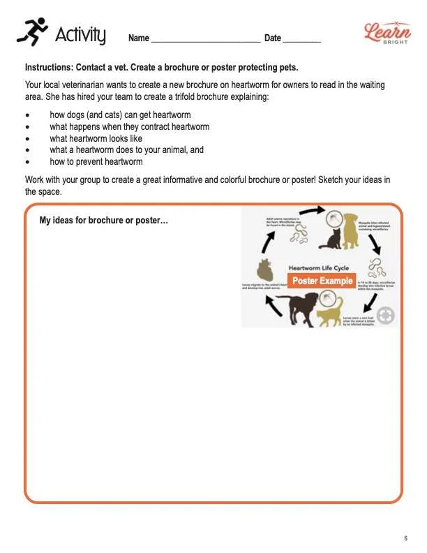 This is the activity worksheet for the Phyla Platyhelminthes and Nematoda Advanced lesson plan. The orange Learn Bright logo is in the upper right corner of the page.