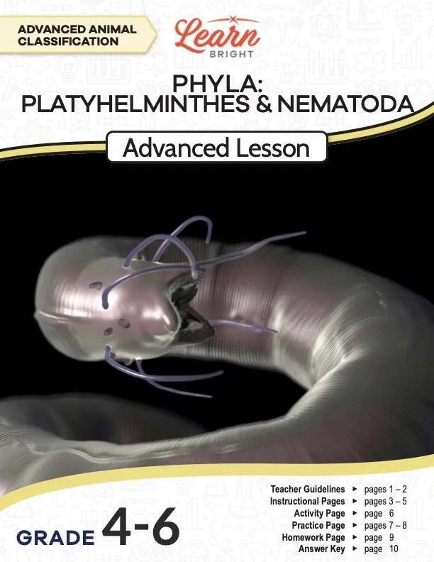 This is the title page for the Phyla Platyhelminthes and Nematoda Advanced lesson plan. The main image is of a worm. The orange Learn Bright logo is at the top of the page.