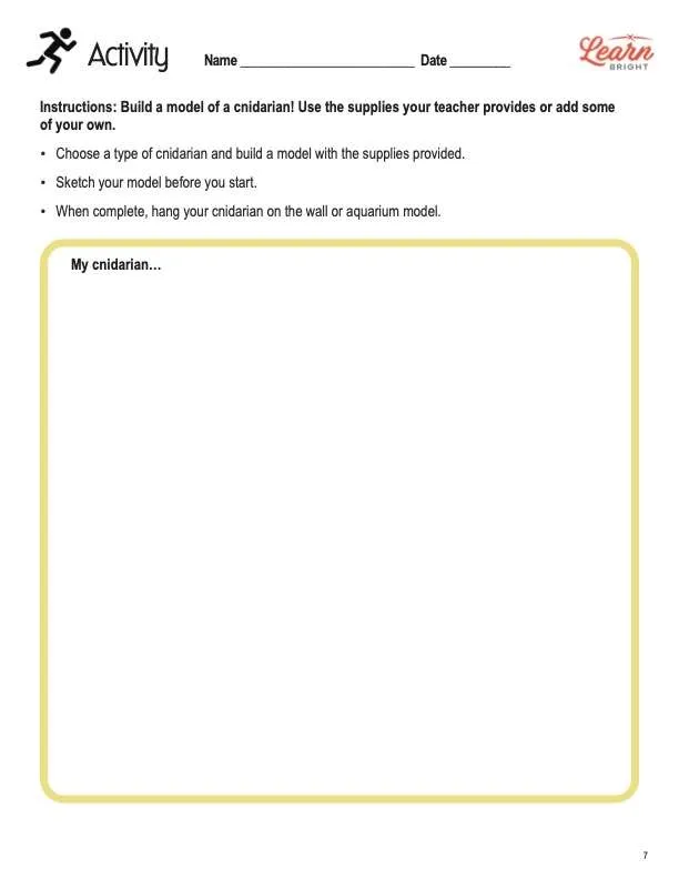 This is the activity worksheet for the Phyla Porifera and Cnidaria Advanced lesson plan. The orange Learn Bright logo is in the upper right corner of the page.
