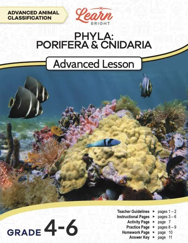 This is the title page for the Phyla Porifera and Cnidaria Advanced lesson plan. The main image is of some sponges and coral at the bottom of the ocean. The orange Learn Bright logo is at the top of the page.