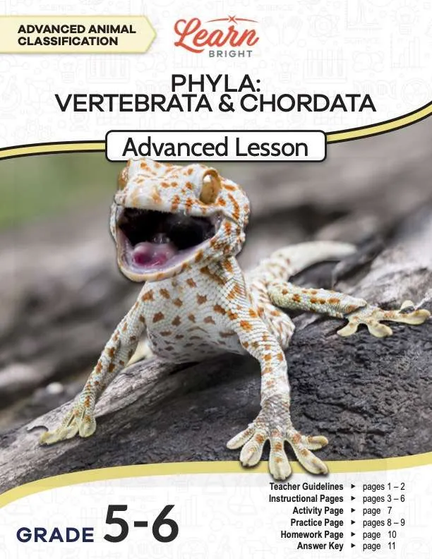 This is the title page for the Phyla Vertebrata and Chordata Advanced lesson plan. The main image is of some kind of lizard-like reptile. The orange Learn Bright logo is at the top of the page.