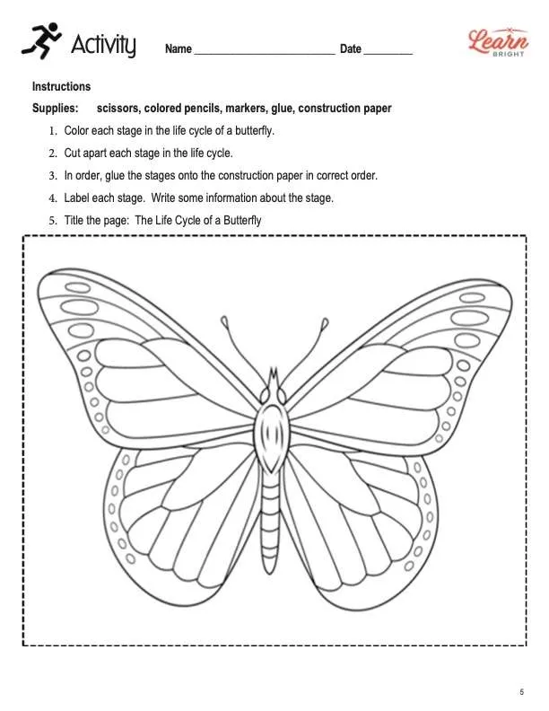 This is the activity worksheet for the All about Butterflies lesson plan. There is a picture of a butterfly to be colored in. The orange Learn Bright logo is in the top-right corner of the page.