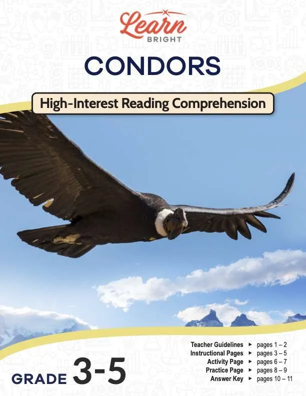 This is the title page for the Condors lesson plan. The main image is of a condor in mid-flight. The orange Learn Bright logo is at the top of the page.
