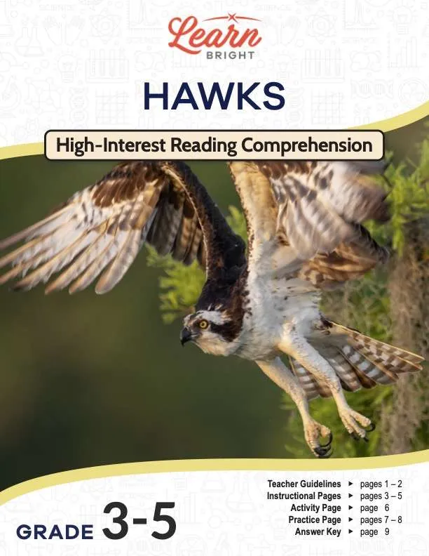 This is the title page for the Hawks lesson plan. The main image is of a hawk in mid-flight. The orange Learn Bright logo is at the top of the page.