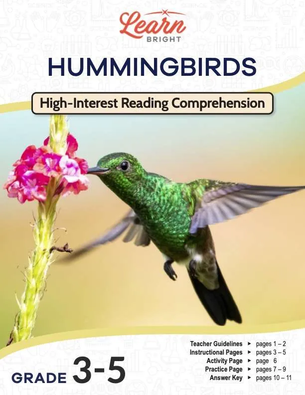 This is the title page for the Hummingbirds lesson plan. The main image is of a hummingbird feeding off a pink flower. The orange Learn Bright logo is at the top of the page.
