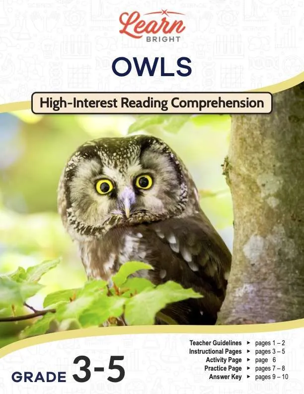 This is the title page for the Owls lesson plan. The main image is of an owl facing the camera. It has big, yellow eyes. The orange Learn Bright logo is at the top of the page.
