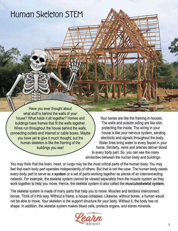This is a content page for the Human Skeleton STEM lesson plan. There is a photo of a house being built. There is also a graphic of a skeleton waving and smiling. The orange Learn Bright logo is at the bottom of the page.