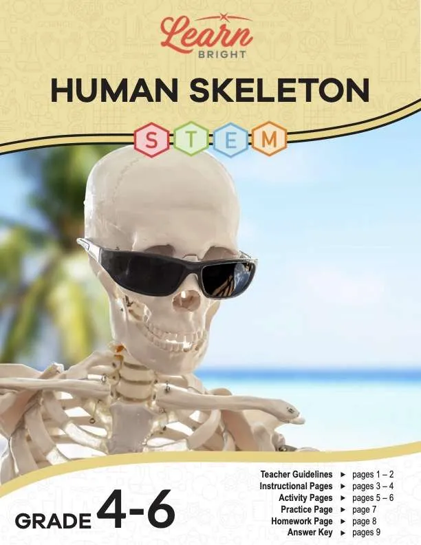This is the title page for the Human Skeleton STEM lesson plan. The main image is of a skeleton on a beach wearing sunglasses. The orange Learn Bright logo is at the top of the page.