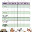 This is the activity worksheet for the Living Healthy lesson plan. There are graphics of animals associated to each of the healthy habits in the chart. The orange Learn Bright logo is in the upper right corner of the page.