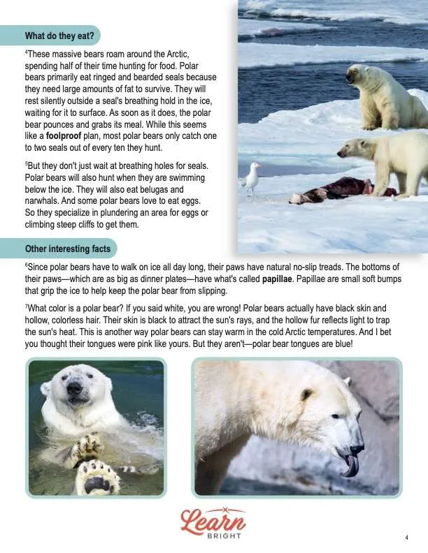 This is a content page for the Polar Bears lesson plan. There are three photos of polar bears. One shows their large paws and one shows their blue tongues. The last one shows two polar bears together. The orange Learn Bright logo is at the bottom of the page.
