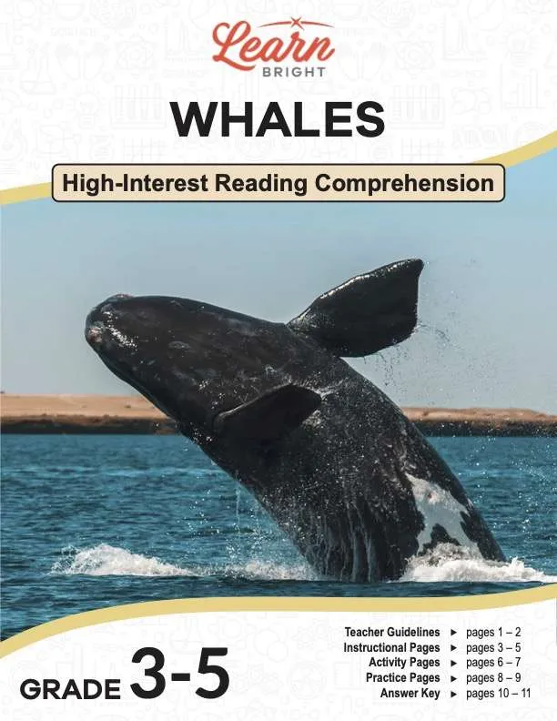 This is the title page for the Whales lesson plan. The main image is of a whale coming out of the water. The orange Learn Bright logo is at the top of the page.