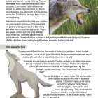 This is a content page for the Coyotes lesson plan. There is a photo of a coyote eating a piece of fruit. There is an illustration of a howling coyote. The orange Learn Bright logo is at the bottom of the page.