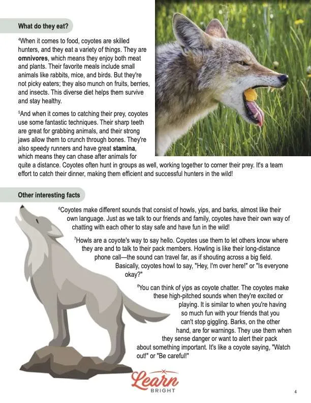 This is a content page for the Coyotes lesson plan. There is a photo of a coyote eating a piece of fruit. There is an illustration of a howling coyote. The orange Learn Bright logo is at the bottom of the page.