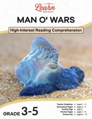 This is the title page for the Man o' Wars lesson plan. The main image is of a blue man o' war on the sand. The orange Learn Bright logo is at the top of the page.