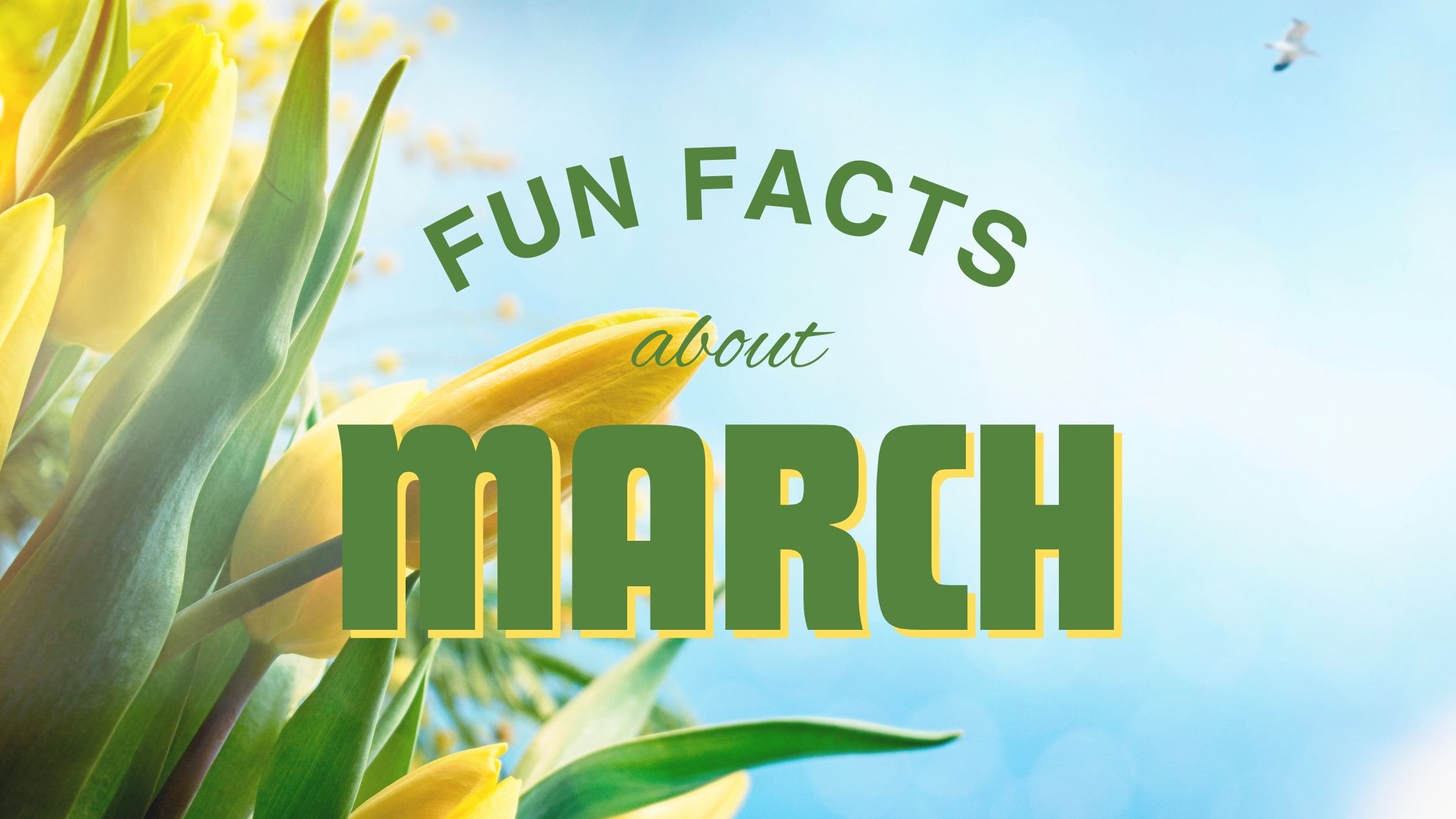 Fun Facts About March Blog