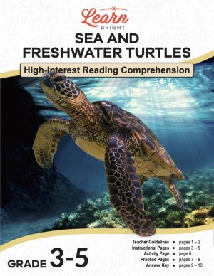 This is the title page for the Sea and Freshwater Turtles lesson plan. The main image is of a sea turtle in the ocean. The orange Learn Bright logo is at the top of the page.