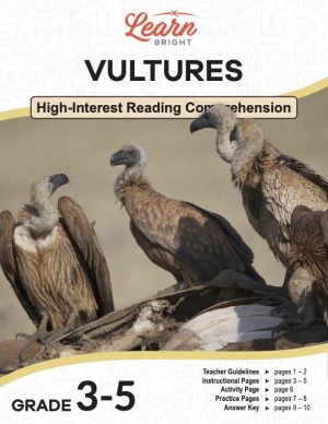 This is the title page for the Vultures lesson plan. The main image is of four vultures. The orange Learn Bright logo is at the top of the page.