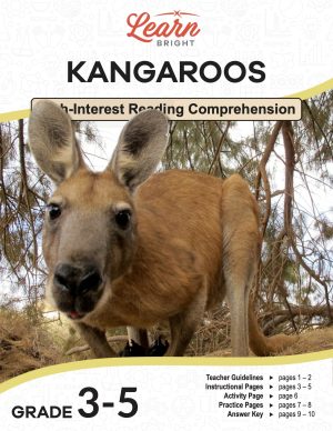 This is the title page for the Kangaroos lesson plan. The main image is a close-up photo of a kangaroo's face as if looking at the camera. The orange Learn Bright logo is at the top of the page.