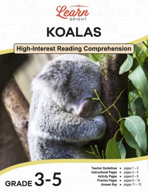 This is the title page for the Koalas lesson plan. The main image is of a koala sleeping against the trunk of a eucalyptus tree. The orange Learn Bright logo is at the top of the page.