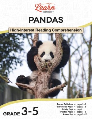 This is the title page for the Pandas lesson plan. The main image is of a young panda hanging from a tree and looking through the middle of two branches at the camera. The orange Learn Bright logo is at the top of the page.