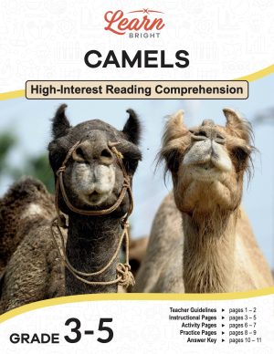 This is the title page for the Camels lesson plan. The main image is of a grey-brown camel and a cream-colored camel staring at the camera. The orange Learn Bright logo is at the top of the page.