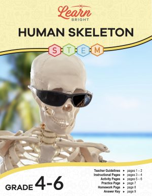 This is the title page for the Human Skeleton STEM lesson plan. The main image is of a skeleton on a beach wearing sunglasses. The orange Learn Bright logo is at the top of the page.
