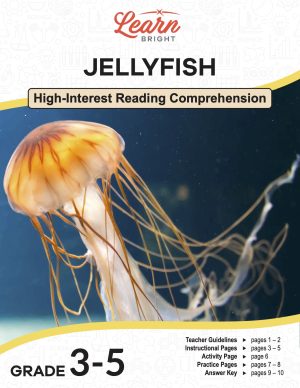 This is the title page for the Jellyfish lesson plan. The main image is of a yellow and orange jellyfish in the ocean. The orange Learn Bright logo is at the top of the page.