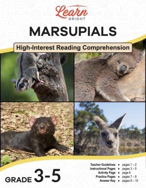 This is the title page for the Marsupials lesson plan. The main image is a collage of four photos of different marsupials: a sugar glider, a koala, a Tasmanian devil, and a kangaroo. The orange Learn Bright logo is at the top of the page.