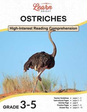 This is the title page for the Ostriches lesson plan. The main image is of an ostrich walking along a desert landscape. The orange Learn Bright logo is at the top of the page.