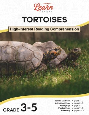 This is the title page for the Tortoises lesson plan. The main image is of two tortoises on grass. The orange Learn Bright logo is at the top of the page.
