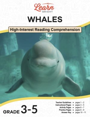 This is the title page for the Whales lesson plan. The main image is of a beluga whale facing the camera. The orange Learn Bright logo is at the top of the page.