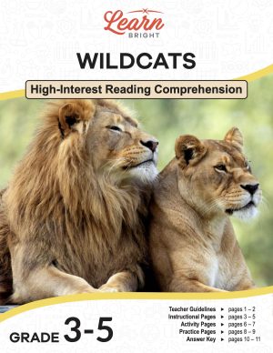 This is the title page for the Wildcats lesson plan. The main image is of a male and female lion resting next to each other. The orange Learn Bright logo is at the top of the page.