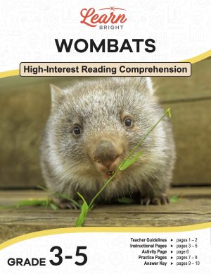 This is the title page for the Wombats lesson plan. The main image is a close-up photo of a wombat eating the stem of a plant. The orange Learn Bright logo is at the top of the page.