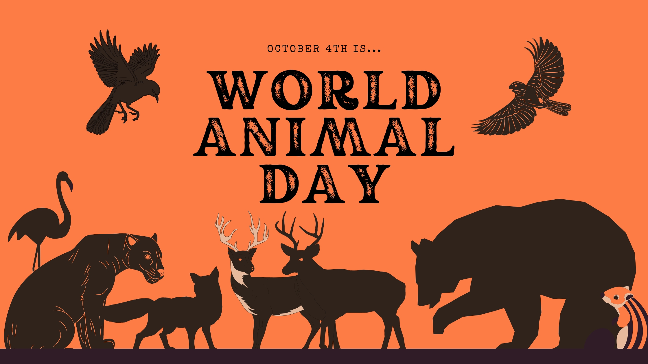 World Animal Day Blog Cover