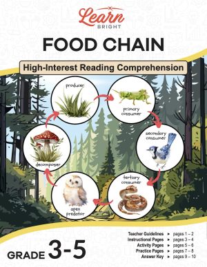 This is the title page for the Food Chain lesson plan. The main image is an illustration of a forest background with a food chain cycle showing how energy passes from producer through consumers to decomposer and back. The orange Learn Bright logo is at the top of the page.