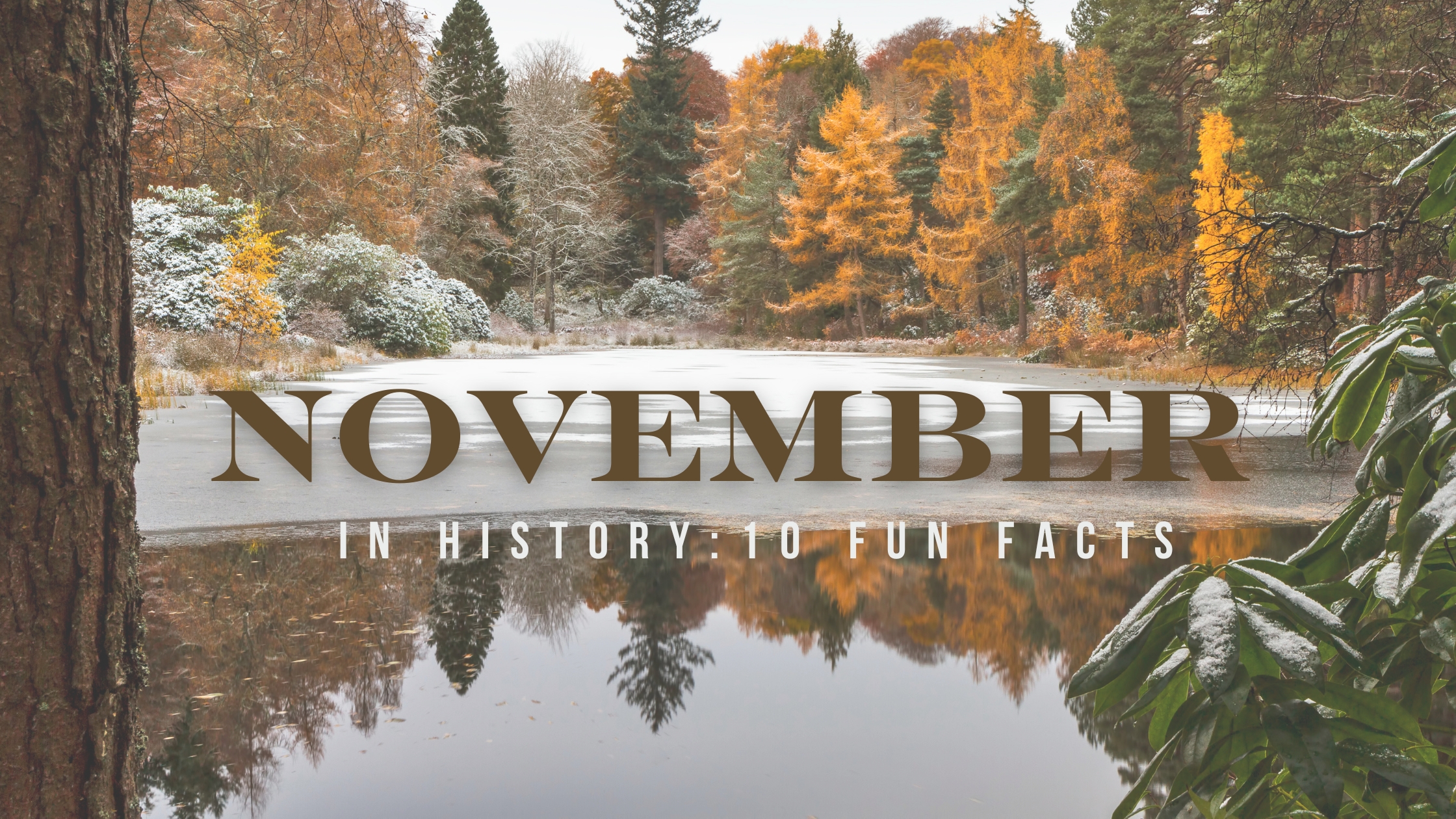 November Fun Facts Blog Cover