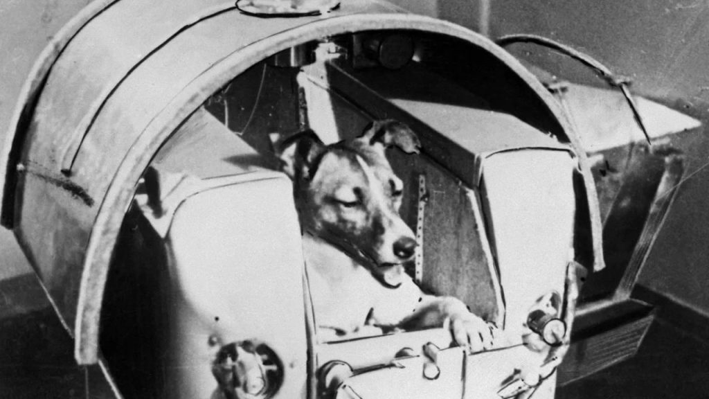November Fun Fact - Sputnik 2 Launched Into Space With a Dog Onboard