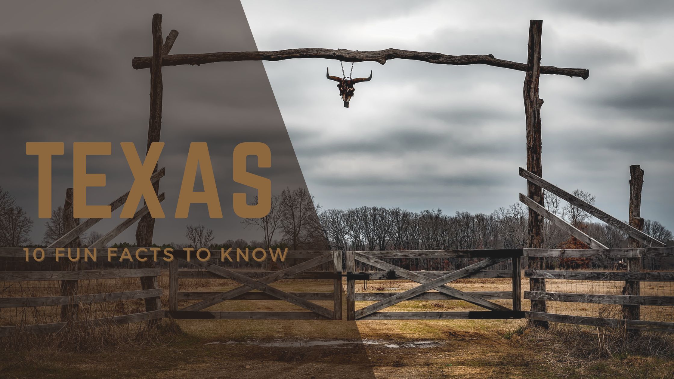 Texas Ranch Scene