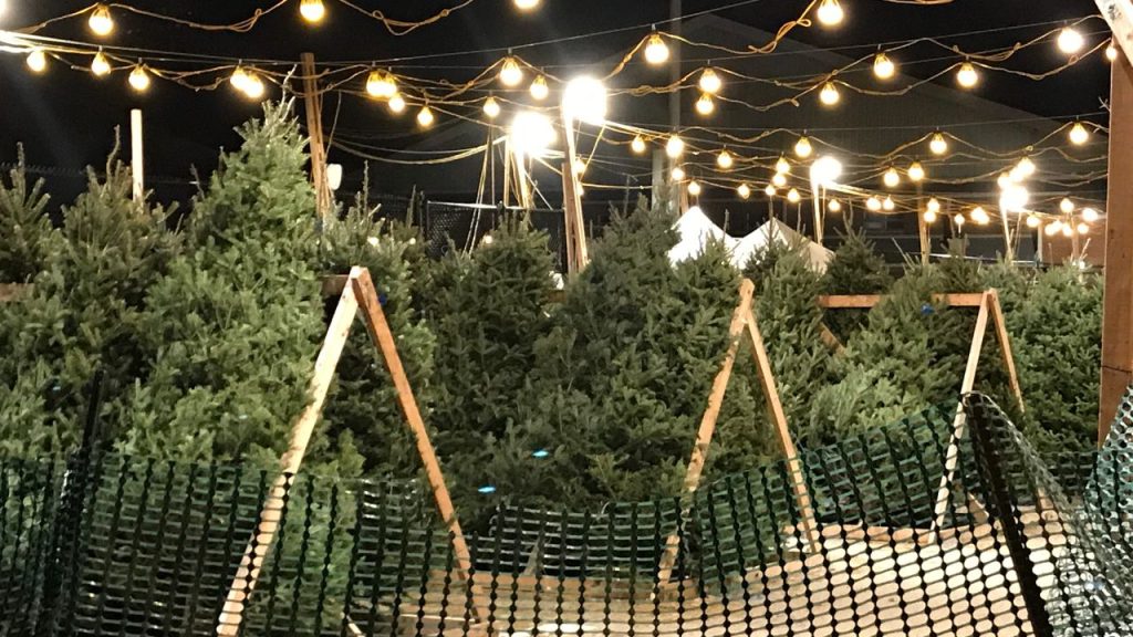 December fun fact: Tree Sales