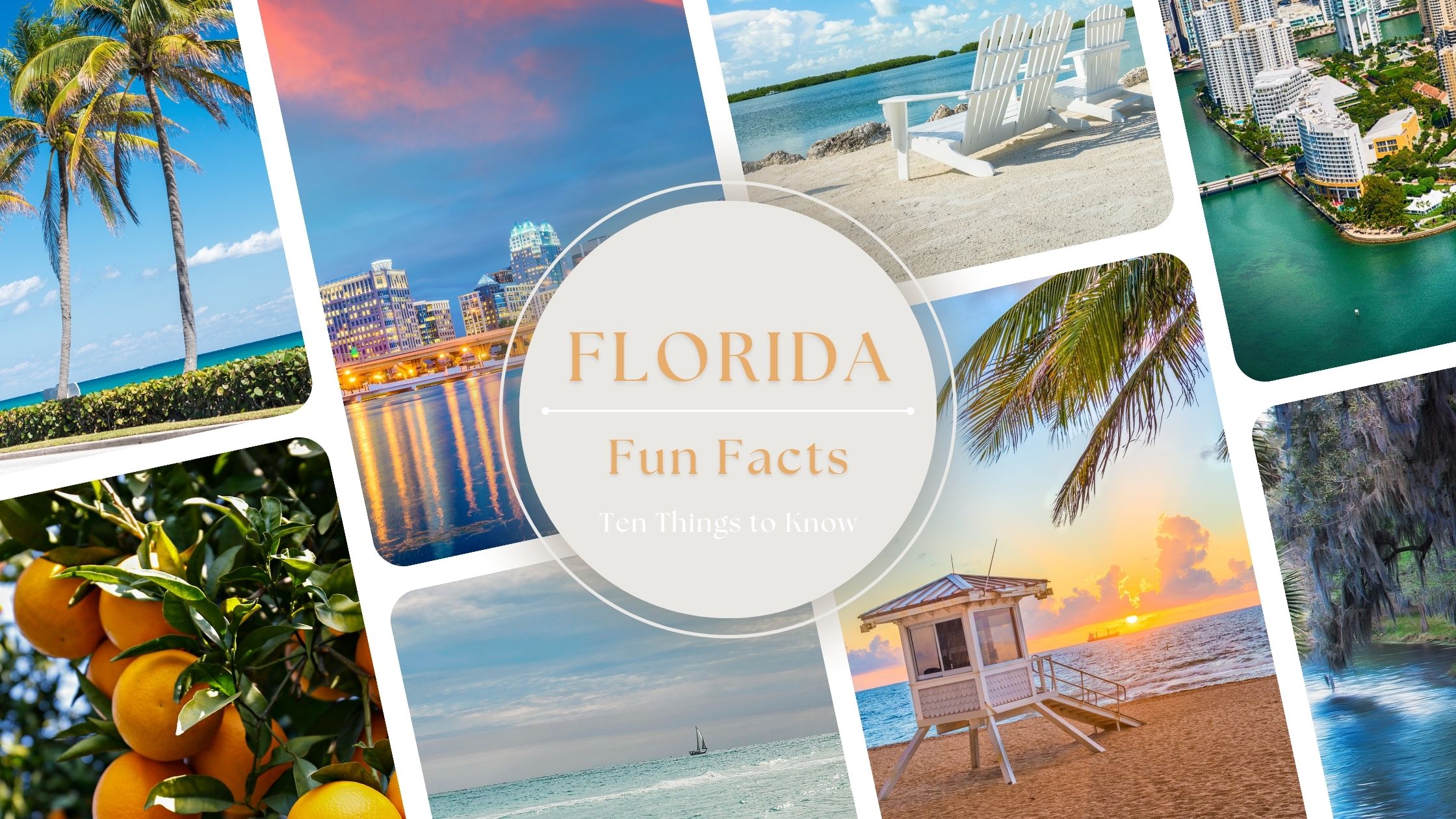Fun Facts About Florida Blog Cover