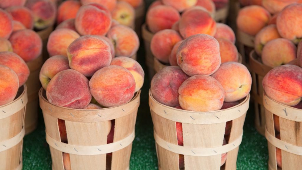 fun fact about basketball: baskets were originally peach baskets